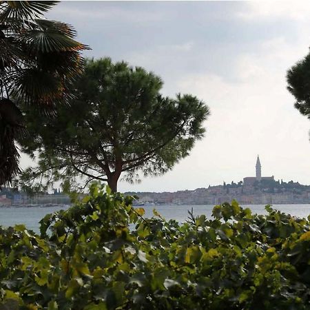Linea Mare Apartment Rovinj Ngoại thất bức ảnh