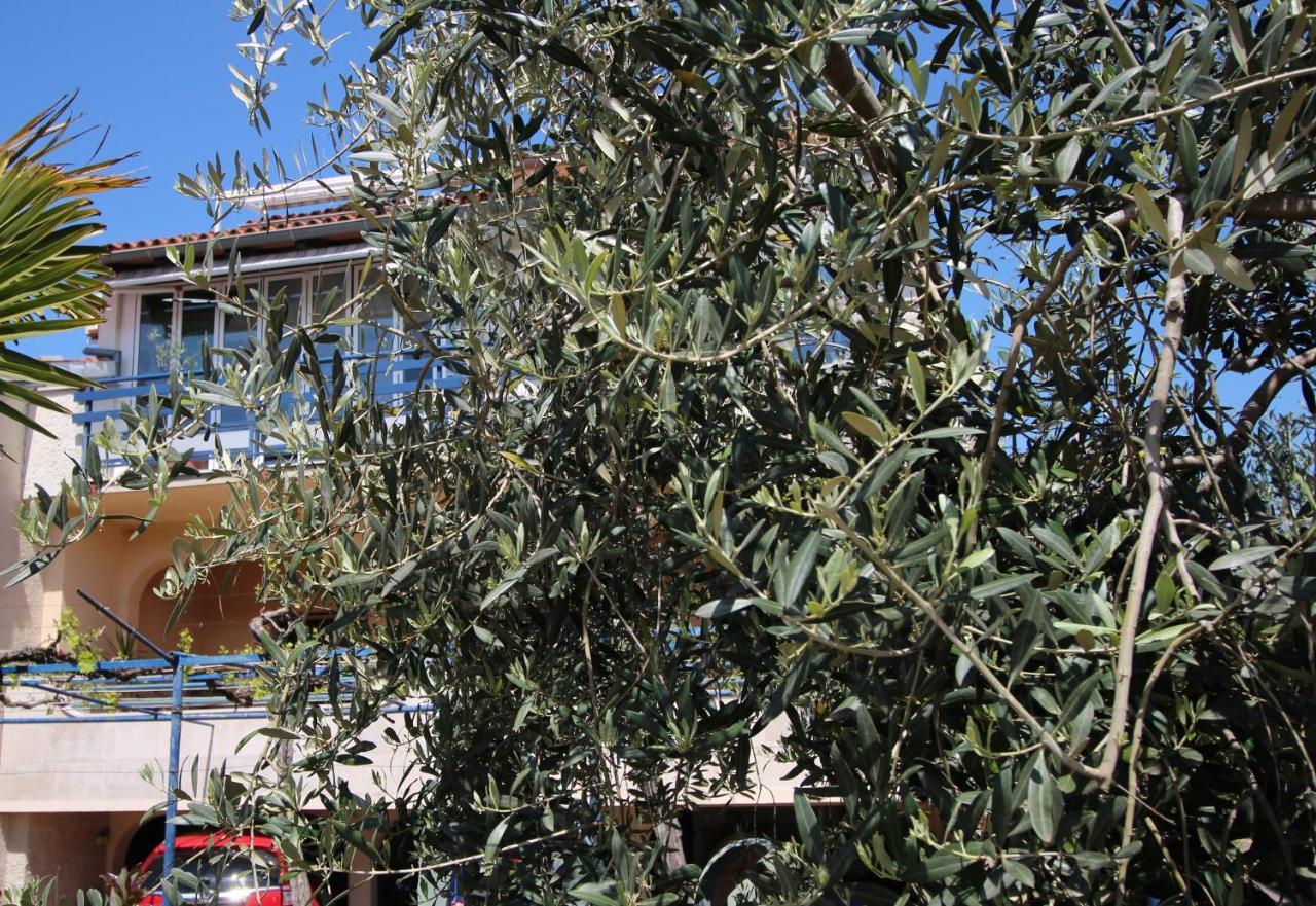 Linea Mare Apartment Rovinj Ngoại thất bức ảnh