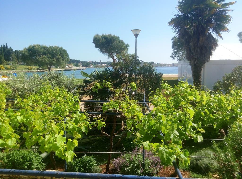 Linea Mare Apartment Rovinj Ngoại thất bức ảnh